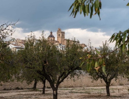 Destino RunCáncer: Villar del Arzobispo y Tuéjar